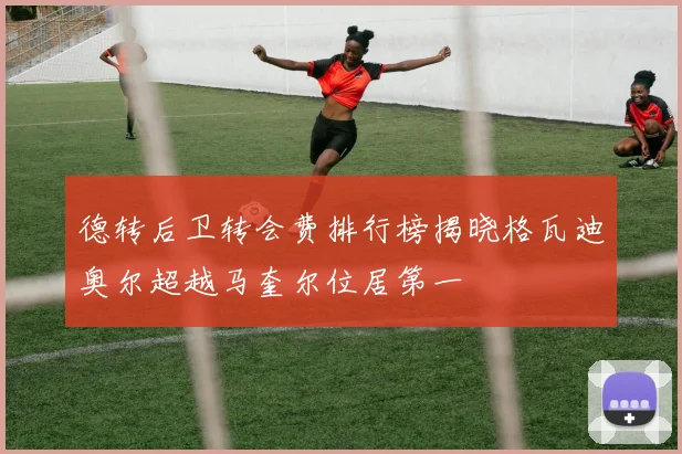 德转后卫转会费排行榜揭晓格瓦迪奥尔超越马奎尔位居第一